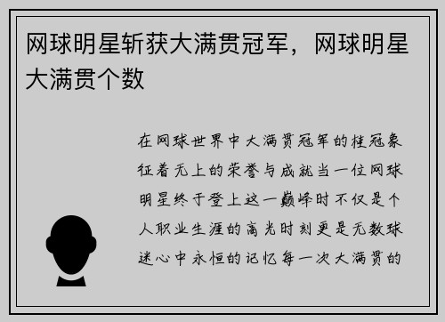网球明星斩获大满贯冠军，网球明星大满贯个数